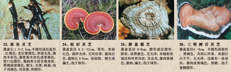 圖片關(guān)鍵詞 圖片關(guān)鍵詞